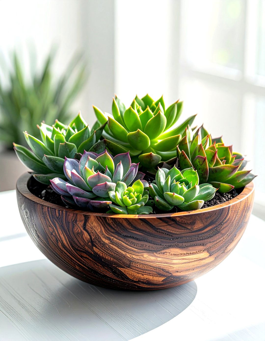 Wood Bowl With Succulents - 30 bowl centerpiece dining ideas