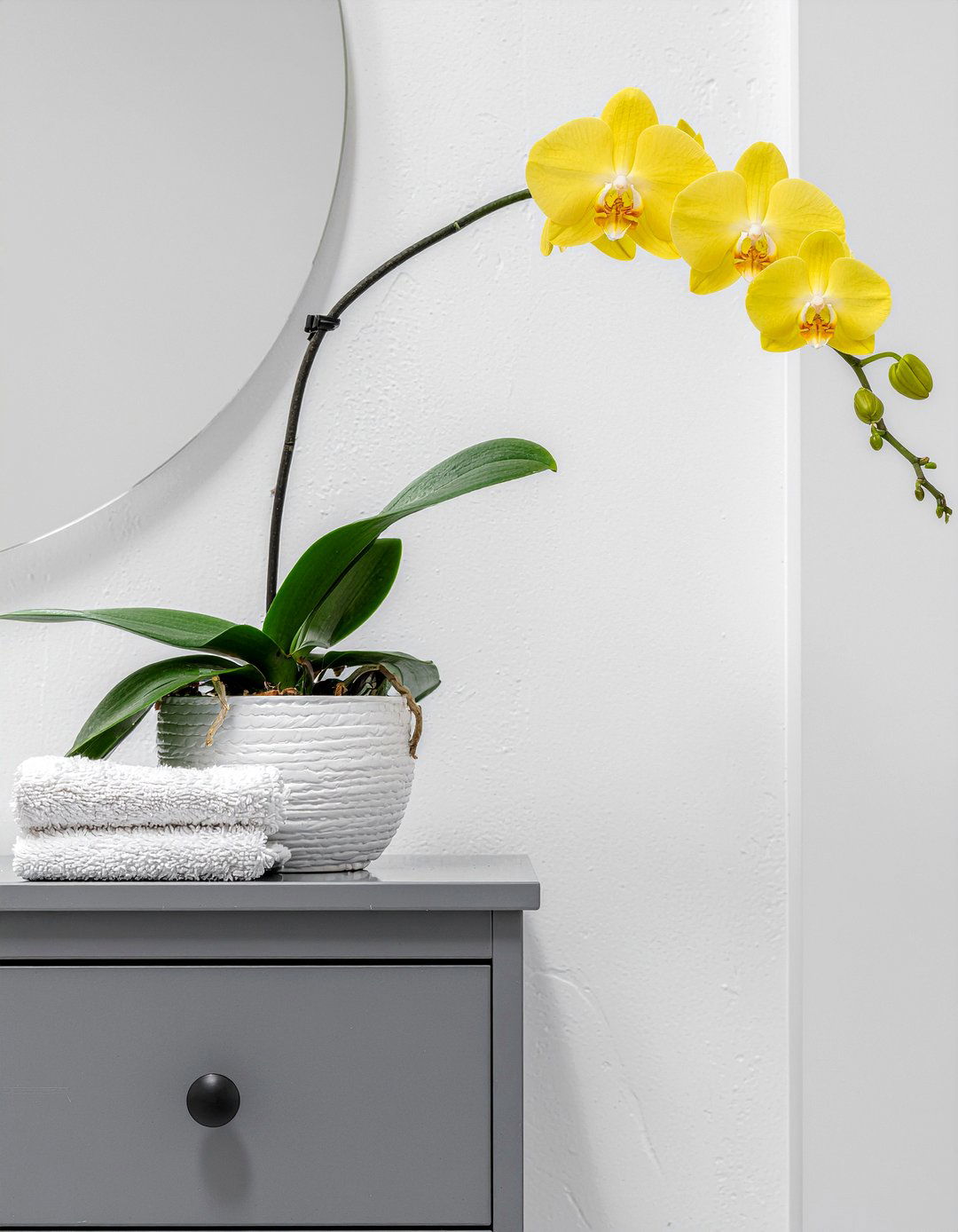 Yellow orchid bathroom pop - 30 bathroom orchid ideas