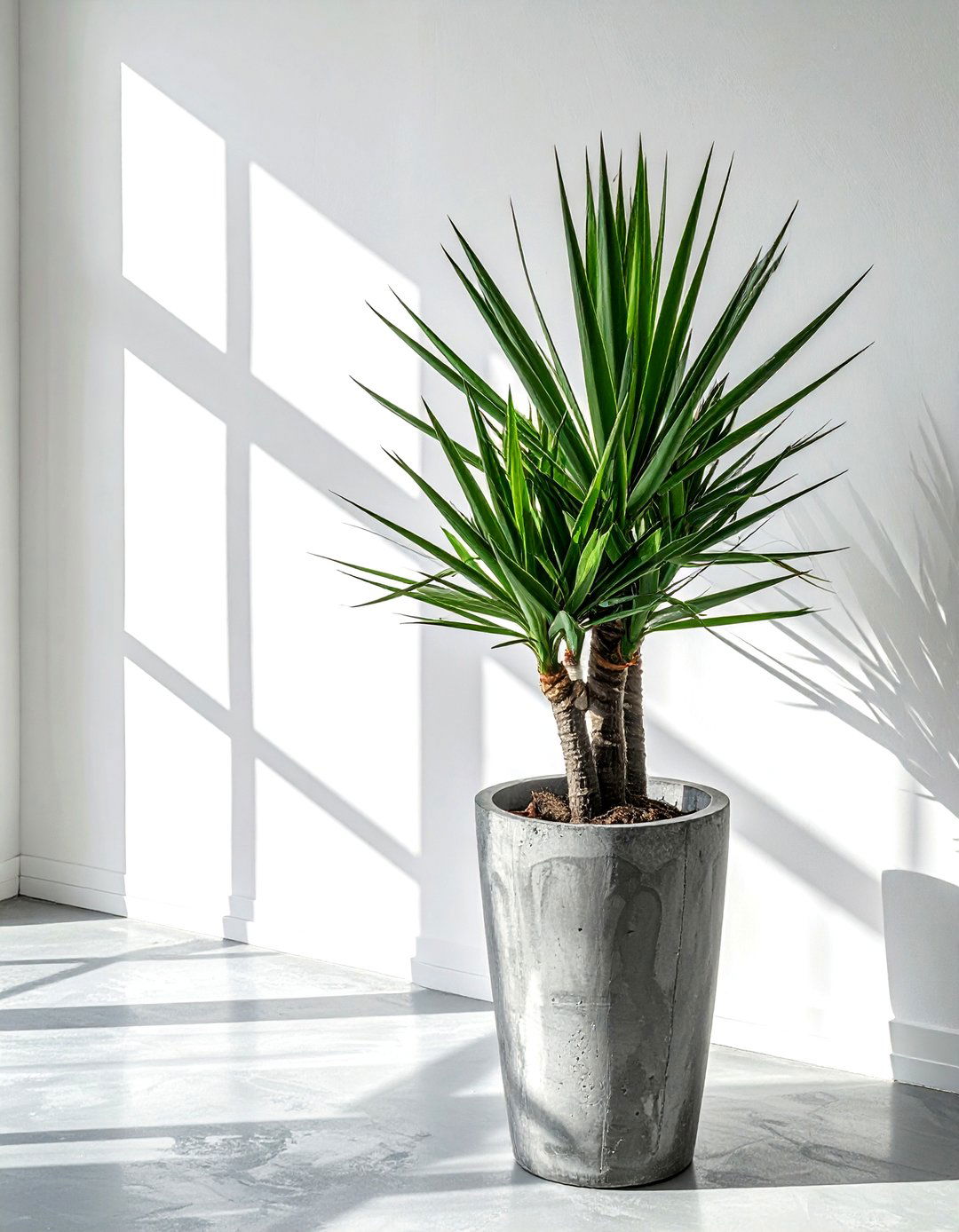 Yucca Plant - 30 artificial plant ideas