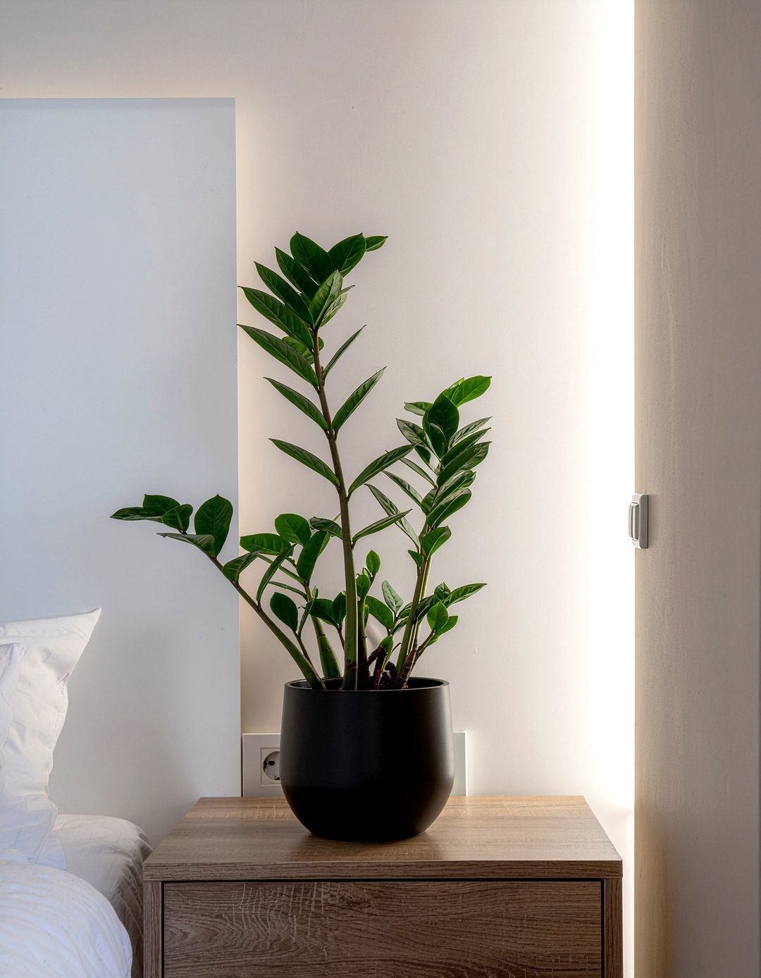 30 Best Bedroom Air Purifying Plants to Improve Your Sleep