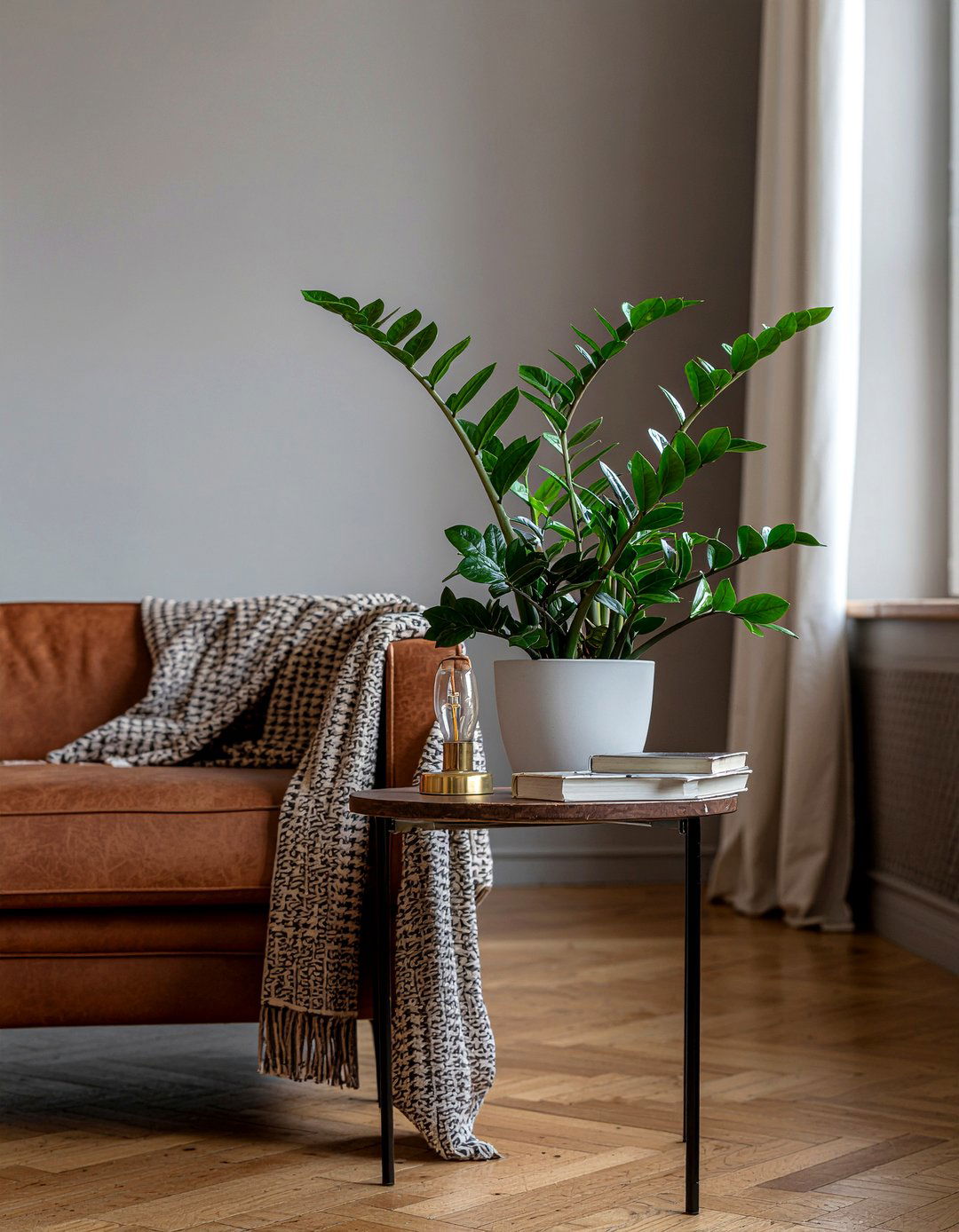 ZZ plant - 30 living room low light plants